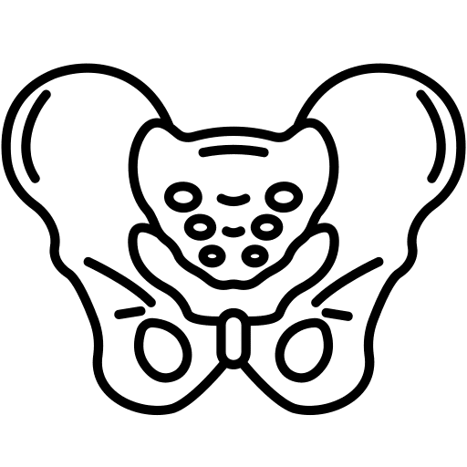pelvis